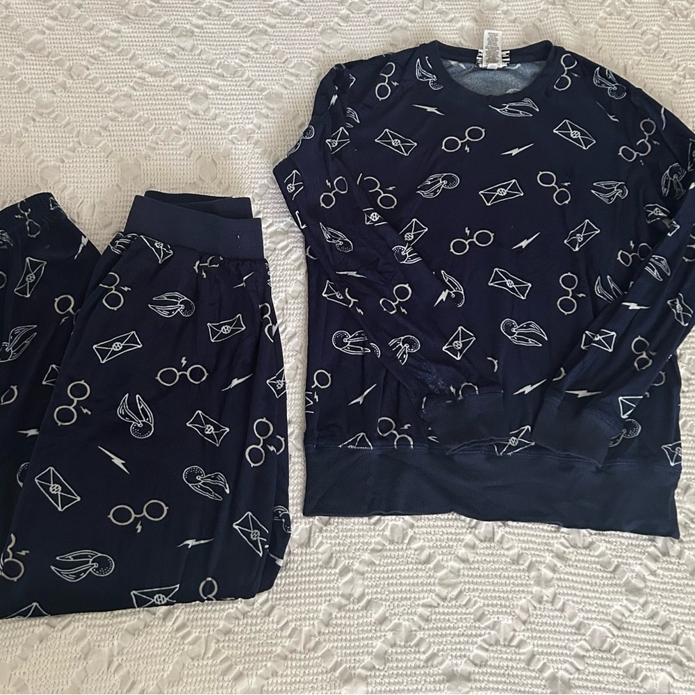 Warner Bros. Harry Potter Blue Pajama Set (velvet/velour)